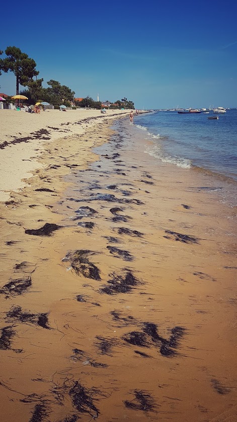 cap-ferret-1-jour-a.jpeg